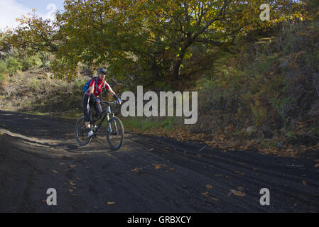 Mountainbiker femelle dans une chemise rouge sur un chemin recouvert de sable volcanique noir, dans l'arrière-plan des châtaigniers Banque D'Images