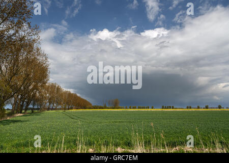 L'approche de nuages de pluie Banque D'Images