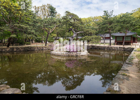 Vue sur un étang et arbres au Sanctuaire de Jongmyo, à Séoul, Corée du Sud. Banque D'Images