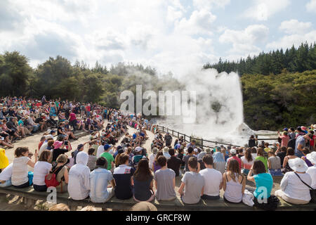 Rotorua, Nouvelle-Zélande - 25 Février 2015 : les touristes regardant l'éruption du geyser Lady Knox à Wai-o-Tapu National Park Banque D'Images