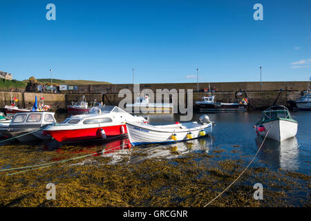 Le petit village de pêcheurs de St Abbs, Berwickshire Scottish Borders UK Banque D'Images