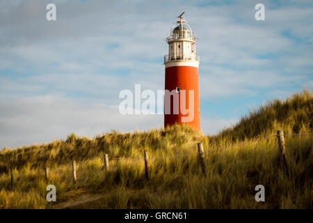 Le phare sur l'île de Texel Banque D'Images