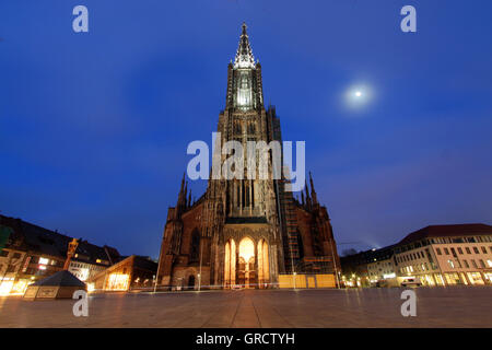 Cathédrale d'Ulm durant le crépuscule Banque D'Images