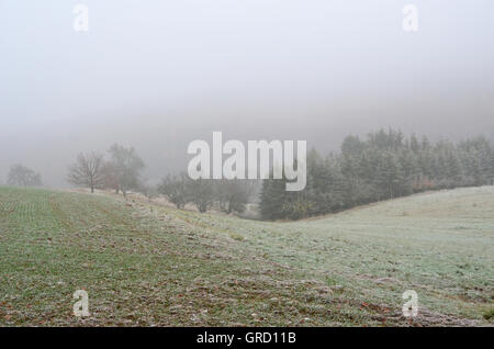 Paysage en novembre avec le gel et le brouillard, Rhénanie-Palatinat, Allemagne, Europe Banque D'Images