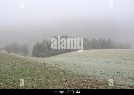 Paysage en novembre avec le gel et le brouillard, Rhénanie-Palatinat, Allemagne, Europe Banque D'Images