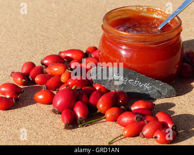 Dog Rose Confiture de Banque D'Images