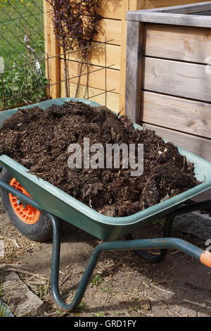 Le jardinage, une brouette remplie de compost Terre en face d'un lit double Banque D'Images