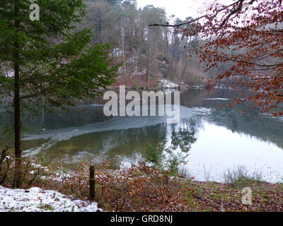 Wintry Eiswoog près de Ramsen, Palatinat Banque D'Images