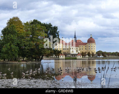 Château de Moritzburg près de Dresde, Saxe, Allemagne Banque D'Images