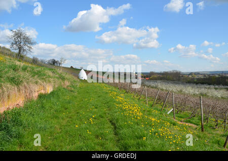 Paysage avec trullo, près de Uffhofen, dans le district de culture de Hesse rhénane, Rhénanie-Palatinat, Allemagne, Europe Banque D'Images