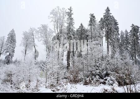 En hiver Hunsrueck, Allemand de montagnes basses Banque D'Images