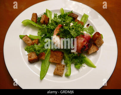 Salade de fromage de chèvre frit sur le persil Salade avec des croûtons de pain rôti à l'huile d'olive Banque D'Images