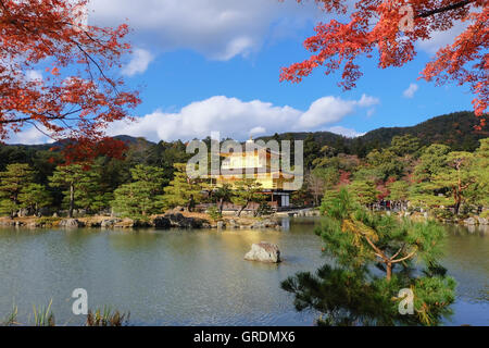 Temple Kinkakuji (Pavillon d'Or) avec l'érable de l'automne à Kyoto Banque D'Images