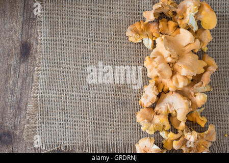 Les champignons alignés sur une planche en bois avec de la toile de jute Banque D'Images