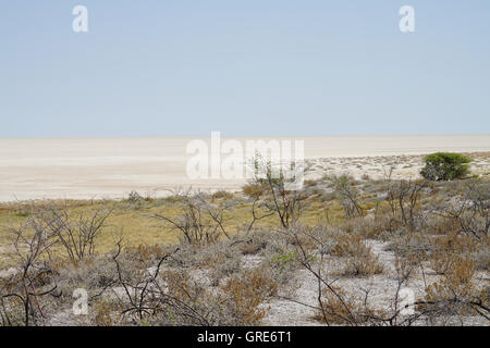 La sécheresse dans la cuvette d'Etosha, Namibie Banque D'Images