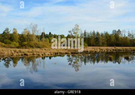 Moss Schwenninger, Moor Lake, origine de la rivière Neckar Banque D'Images