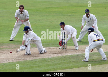 Près de Durham fielders peuvent seulement regarder comme James Foster joue le balayage inverse d'Essex - Essex LA CCC vs Durham CCC - LV County Championship Cricket au sol du comté de Ford, Chelmsford - 09/09/10 Banque D'Images