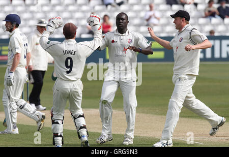 Robbie Joseph de Kent célèbre le guichet de batteur Tim Phillips - Essex Essex Kent vs CCC CCC - LV County Championship Division Two à la Ford Comté Masse - 11/04/11 Banque D'Images