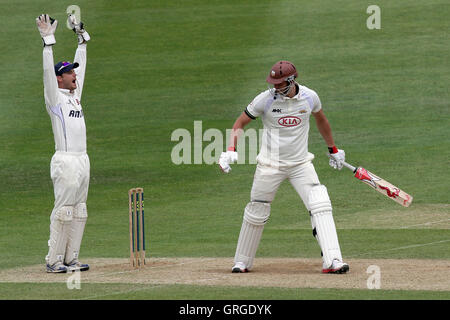 James Foster d'appels pour l'Essex fortement guichet de Chris Tremlett - Surrey CCC vs Essex CCC - LV County Championship Division Two Cricket à l'école Whitgift - 20/05/11 Banque D'Images