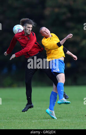 Clapton Rangers (jaune) vs Tottenham Phoenix, Hackney & Leyton dimanche Football ligue à Hackney Marshes, London, Angleterre le 27/09/2015 Banque D'Images