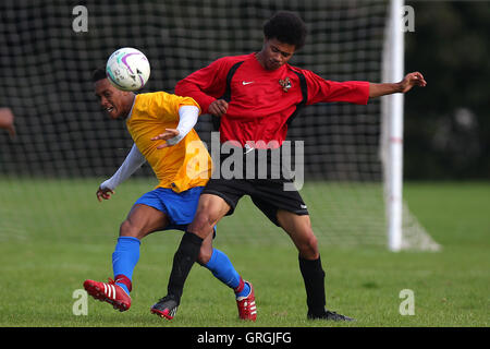 Clapton Rangers (jaune) vs Tottenham Phoenix, Hackney & Leyton dimanche Football ligue à Hackney Marshes, London, Angleterre le 27/09/2015 Banque D'Images