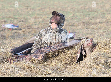 Heidesheim, Allemagne. Août 29, 2016. Un chasseur et un chien de chasse se camoufler sous le foin pendant une chasse aux oies près de Heidesheim, Allemagne, 29 août 2016. Les oies sont de plus en plus l'alimentation de la Rhénanie-Palatinat. Pour certains elles sont naturelles, spectacle pour d'autres un ennui, comme les oiseaux mangent dans les champs et défèquent sur les prés. Photo : DOREEN FIEDLER/dpa/Alamy Live News Banque D'Images