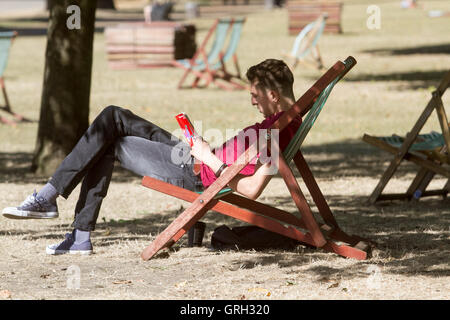 London UK. Le 8 septembre 2016. Un homme de la lecture à l'ombre sur un transat, dans Hyde Park sur une autre journée chaude dans la capitale comme la canicule de l'automne se poursuit. Credit : amer ghazzal/Alamy Live News Banque D'Images