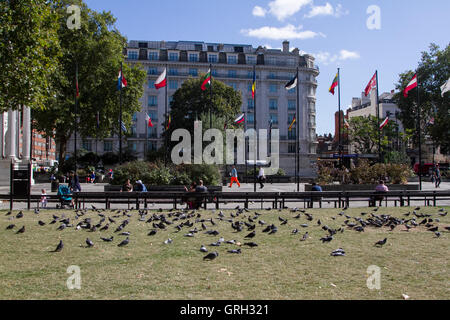 London UK. Le 8 septembre 2016. Les personnes bénéficiant de l'ensoleillement en Marble Arch sur une autre journée chaude dans la capitale comme la canicule de l'automne se poursuit. Credit : amer ghazzal/Alamy Live News Banque D'Images