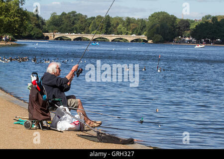 London UK. Le 8 septembre 2016. Un homme de la lecture à l'ombre sur une chaise longue sur la Serpentine dans Hyde Park sur une autre journée chaude dans la capitale comme la canicule de l'automne se poursuit. Credit : amer ghazzal/Alamy Live News Banque D'Images