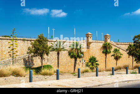 Anciens remparts d'Acre - Israël Banque D'Images