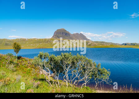 Vue sur montagne , Assynt Suilven à Sutherland, Highland, Ecosse, Royaume-Uni Banque D'Images