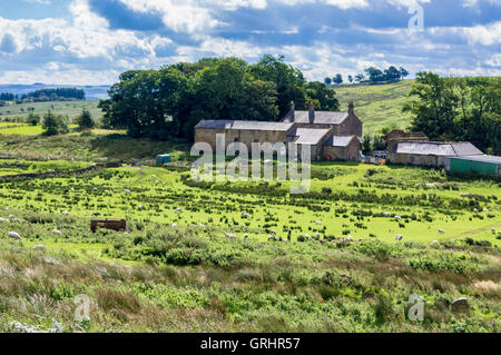 Winshields ferme sur mur d'Hadrien près de une fois préparé, Cumbria, Angleterre Banque D'Images