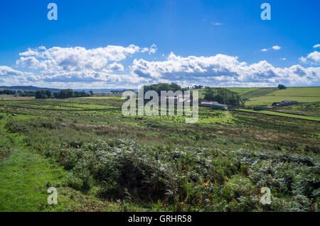 Winshields ferme sur mur d'Hadrien près de une fois préparé, Cumbria, Angleterre Banque D'Images