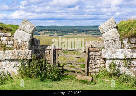 37 Milecastle sur mur d'Hadrien près de une fois préparé, Cumbria, Angleterre Banque D'Images