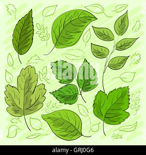 Ensemble de feuilles vertes à la main pour votre conception. Vector Illustration de Vecteur