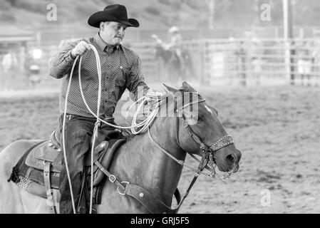 Avec cheval se ruant au rodéo de cowboy, Snowmass, Colorado Banque D'Images