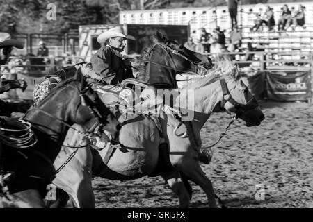 Au cours de l'action monte de chevaux de selle compétition à Snowmass Rodeo, Snowmass, Colorado Banque D'Images