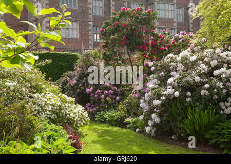 Doddington Hall and Gardens, Lincolnshire, Royaume-Uni. Dans l'Ouest, les iris Iris jardin pendant la semaine. Printemps, mai 2016. Banque D'Images