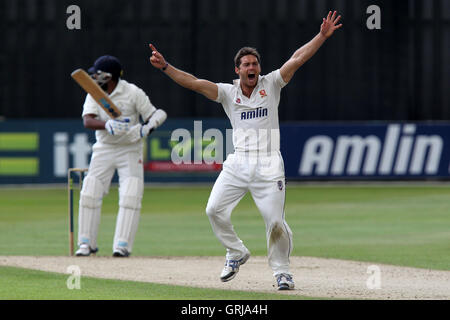 Un fort appel de Greg Smith, de l'Essex pour le guichet de Bilal Shafayat - Essex LA CCC vs Hampshire CCC - LV County Championship Division Two de cricket au sol du comté de Ford, Chelmsford, Essex - 19/07/12 Banque D'Images