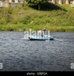 La pêche au saumon sur le Tweed dans la 'backend' sur la frontière écossaise à Norham et Ladykirk Banque D'Images