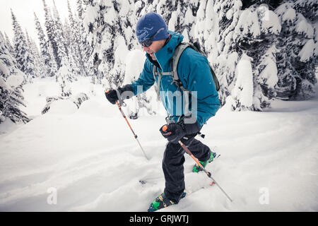 Ski de randonnée de l'arrière-pays dans le parc provincial Manning Banque D'Images