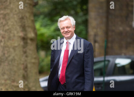 David Davis, Secrétaire d'État à la sortie de l'Union européenne, arrive pour une réunion du Cabinet à Downing Street Banque D'Images