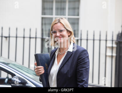 Secrétaire d'accueil Orange,Rudd, arrive à Downing Street pour une réunion du Cabinet Banque D'Images