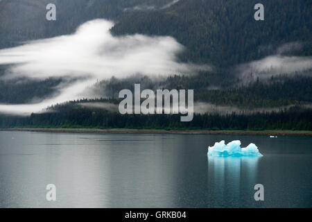 Les icebergs près du glacier Dawes, Endicott Arm, la Forêt Nationale Tongass, Alaska, USA. Les fjords à paroi de falaise en tranches le mountai Banque D'Images