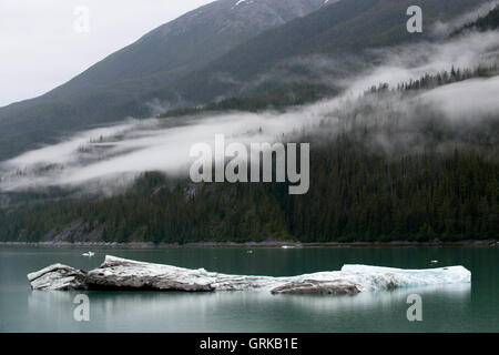 Les icebergs près du glacier Dawes, Endicott Arm, la Forêt Nationale Tongass, Alaska, USA. Les fjords à paroi de falaise en tranches le mountai Banque D'Images