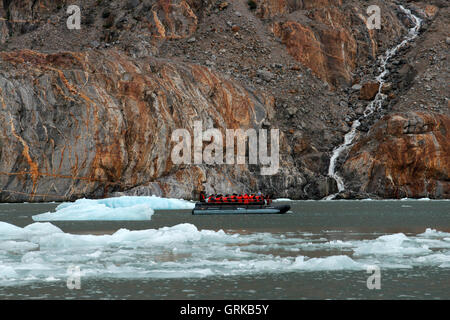 Safari croisière Endeavour passagers dans un bateau gonflable en face de Dawes veaux dans le Glacier Endicott Arm fjord de Tracy un Banque D'Images