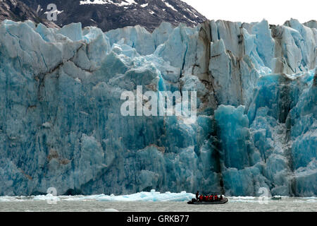 Safari croisière Endeavour passagers dans un bateau gonflable en face de Dawes veaux dans le Glacier Endicott Arm fjord de Tracy un Banque D'Images