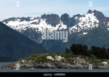 L'île de marbre du sud, Glacier Bay National Park, au sud-est de l'Alaska. À la fin, Mt Bertha et Mt La Perouse a neigé. Marbl sud Banque D'Images