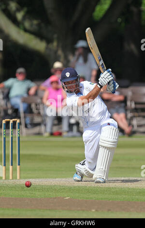 Wayne Madsen en action au bâton pour Derbyshire - Derbyshire CCC vs Essex CCC - LV County Championship Division Two Cricket à Queen's Park, 78673 - 09/07/14 Banque D'Images