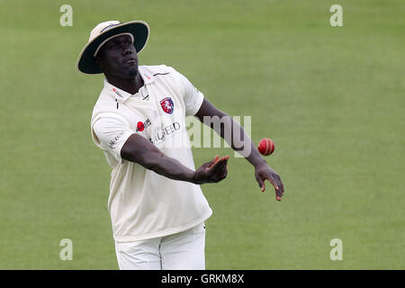 Robbie Joseph de Kent - Essex Kent vs CCC CCC - amical d'avant saison match de cricket l'Essex County Ground, Chelmsford - 03/04/14 Banque D'Images